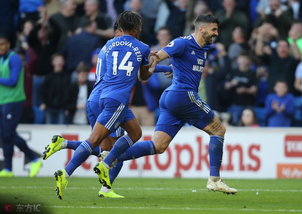 卡迪夫城主场惜败富勒姆,遗憾失利 卡迪夫城主场惜败富勒姆,遗憾失利