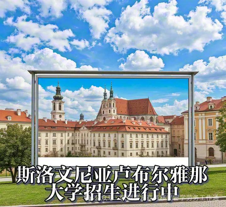 斯洛文尼亚队困境加深前途未卜 斯洛文尼亚队困境加深前途未卜