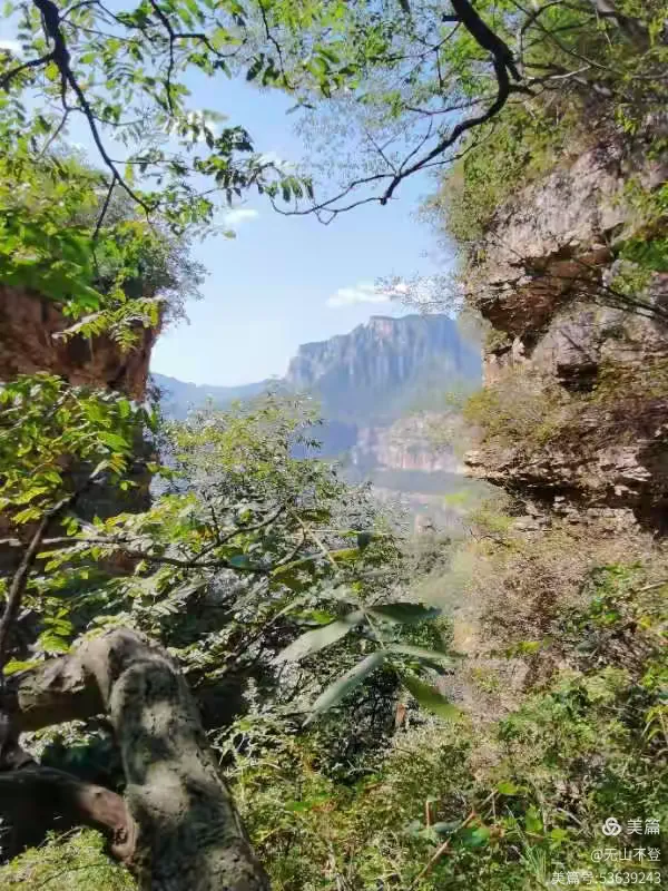 V体育-探团出击!胜负在哪一刻力挽背山成功