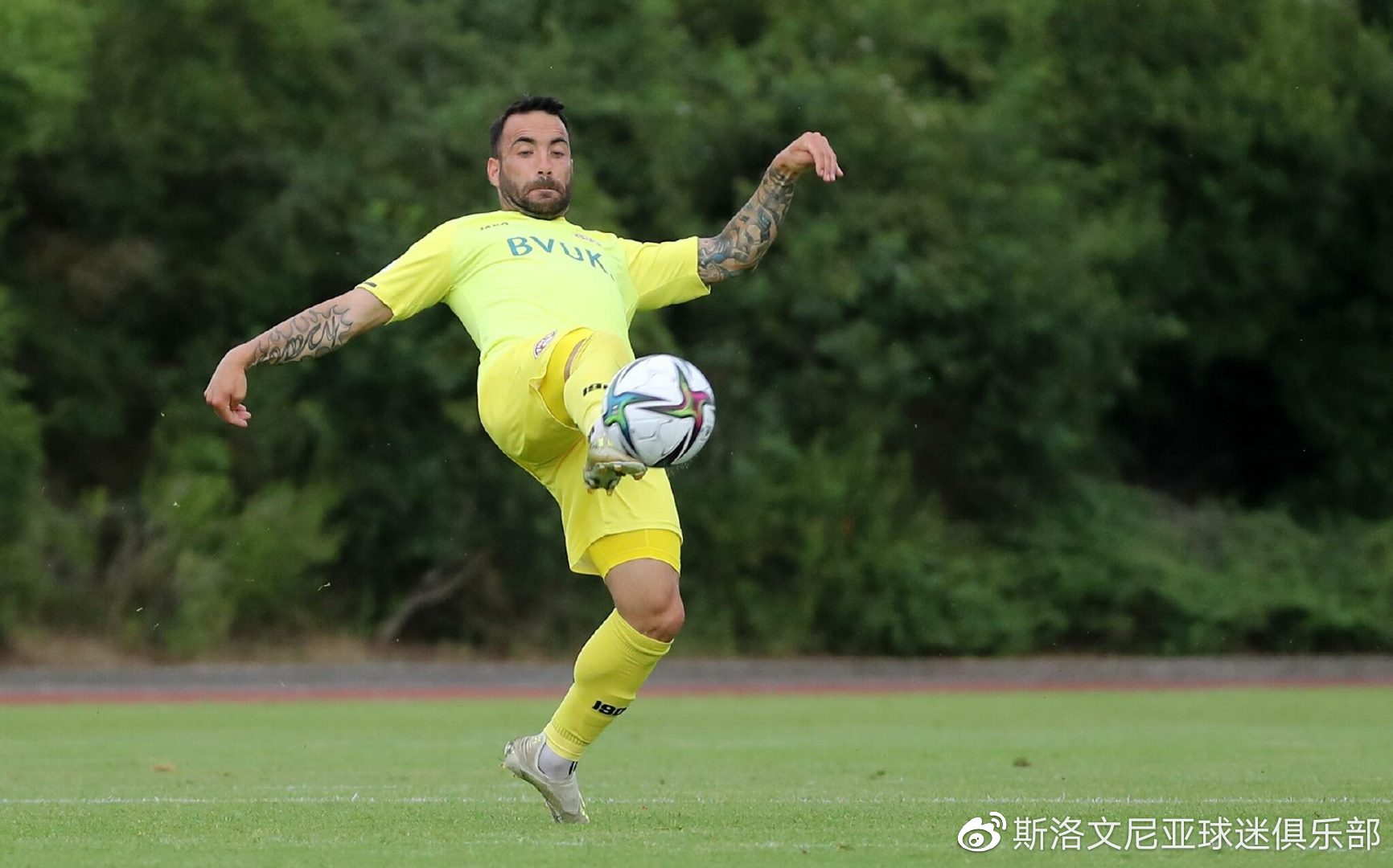 地面普罗旺斯踢球者在主场捧杯,实现历史性突破 地面普罗旺斯踢球者在主场捧杯,实现历史性突破